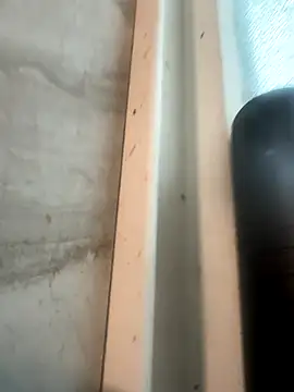 RobsBigD online show from 10-30-25, 06:19