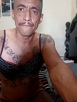 Innsacianle online show from 02-20-26, 07:10