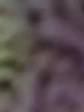 Hot-Sana2 online show from 01-13-26, 01:49