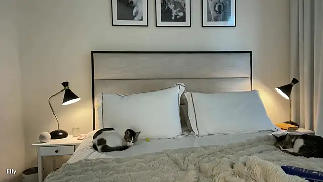 Itslillybloom online show from 11-07-25, 04:23