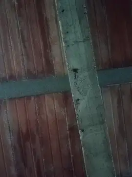 Megan2026 online show from 02-19-26, 11:12