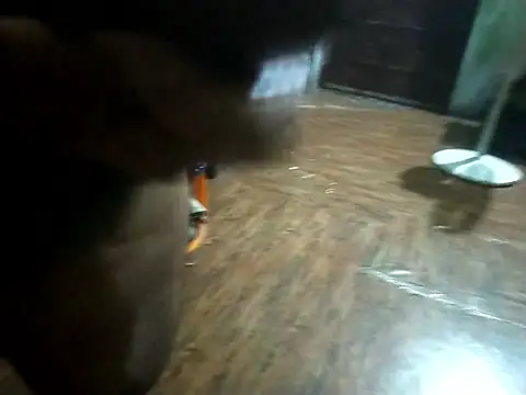 Snapshot of BdTinyDick chatting on 11-11-25, 06:19 BdTinyDick online show from 11-11-25, 06:19