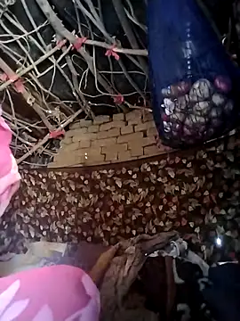 Snapshot of Jooli_cuty chatting on 02-21-26, 04:13 Jooli cuty online show from 02-21-26, 04:13