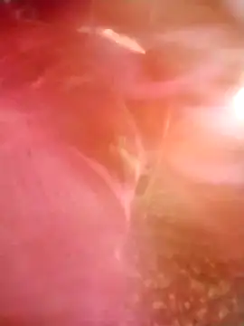 Snapshot of Jooli_cuty chatting on 03-14-26, 02:28 Jooli cuty online show from 03-14-26, 02:28