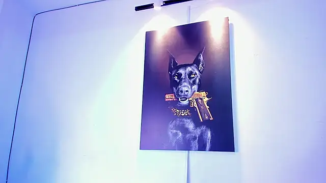 stiven 24cm online show from 11-28-25, 07:11