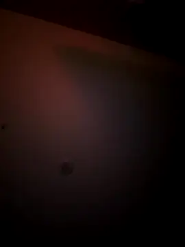 mixedswanger online show from 11-24-25, 07:19