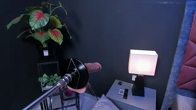 Amy whittee online show from 03-27-26, 03:34