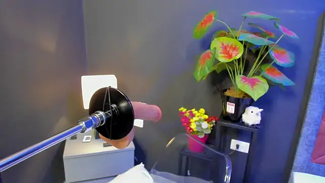 Amy whittee online show from 04-12-26, 03:44