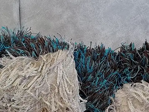 LannyShell online show from 11-26-25, 05:25