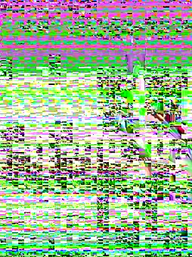 leenaboyxh online show from 11-27-25, 04:31