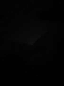 Snapshot of lanouvelle93 chatting on 05-19-26, 01:33 lanouvelle93 online show from 05-19-26, 01:33