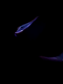 Snapshot of fireblond01 chatting on 11-12-25, 02:34 fireblond01 online show from 11-12-25, 02:34