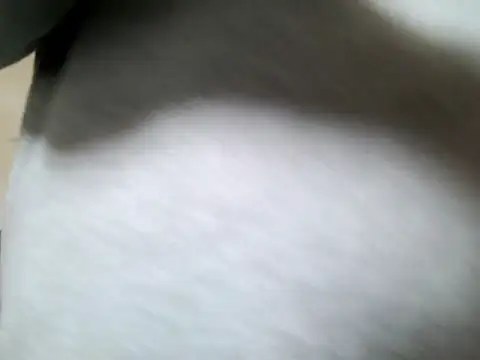 Olifesse online show from 05-16-26, 08:22