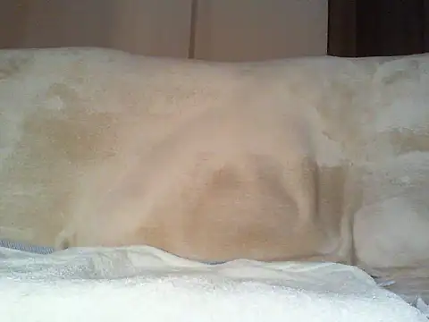 Cumlover5534 online show from 03-02-26, 09:38