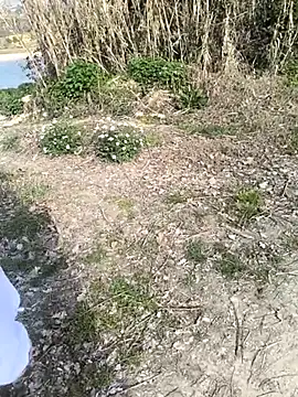 Snapshot of marchigiana chatting on 02-26-26, 09:19 marchigiana online show from 02-26-26, 09:19