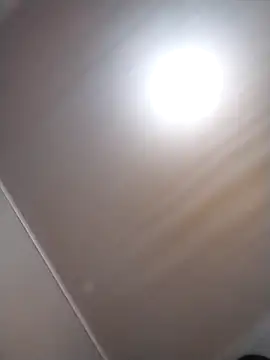 Tayanehot online show from 04-08-26, 10:26