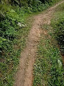 Cloud-wh online show from 02-24-26, 03:37