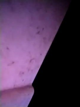 m-mbae online show from 02-25-26, 12:53