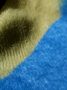 GG23MVP online show from 11-30-25, 05:22