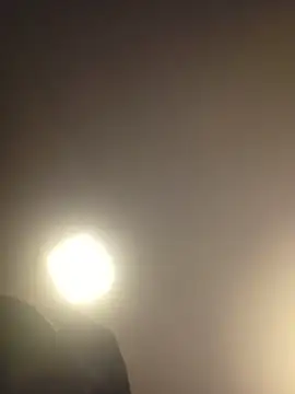 piggylatino online show from 03-19-26, 10:19