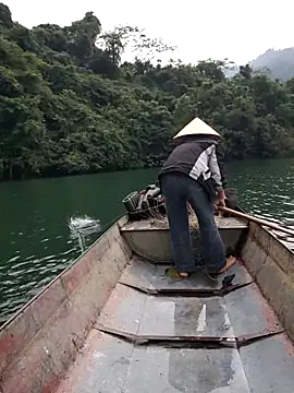 Site-loe online show from 12-18-25, 03:01