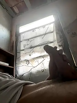 24 c online show from 12-02-25, 11:04