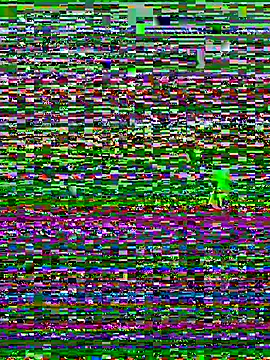 Maria-Becker online show from 01-05-26, 05:27