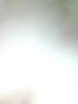 Snapshot of Pxrani chatting on 11-17-25, 03:29 Pxrani online show from 11-17-25, 03:29