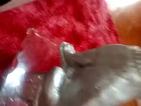 Snapshot of Jeison0323 chatting on 02-04-26, 08:25 Jeison0323 online show from 02-04-26, 08:25