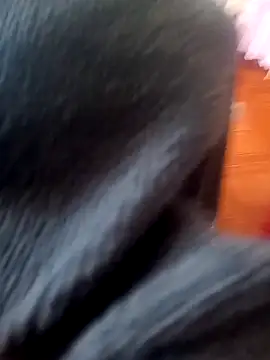 Snapshot of Jeison0323 chatting on 02-25-26, 08:29 Jeison0323 online show from 02-25-26, 08:29