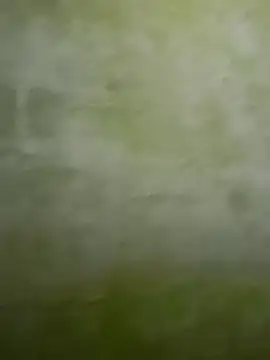 Uplk online show from 11-17-25, 11:49