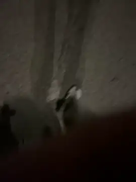 Pumxxxx online show from 11-30-25, 04:16