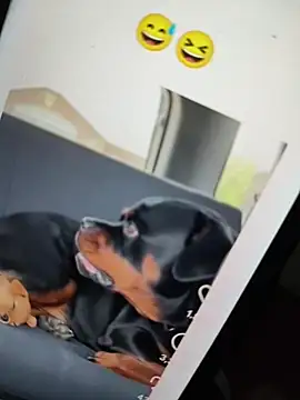 Sainicpl online show from 12-05-25, 01:42