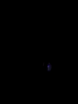 00x0x00 online show from 03-29-26, 07:03