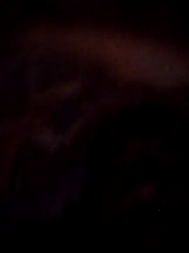 Roy   121 online show from 11-23-25, 09:03