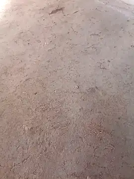 Nandani-758 online show from 12-02-25, 10:09