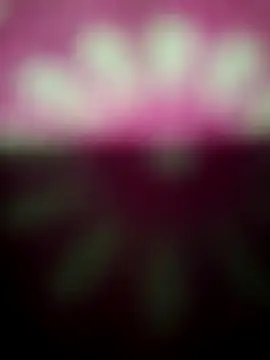 Nandani-758 online show from 12-19-25, 12:17