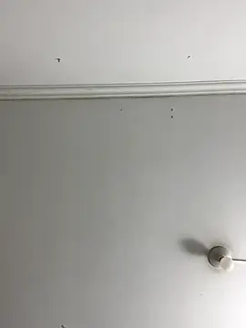 Rosa Vidal  online show from 11-29-25, 06:55