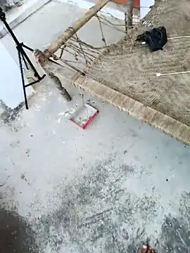 apka rockstarr online show from 11-27-25, 09:11