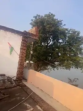 apka rockstarr online show from 12-01-25, 02:49