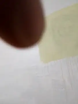 paoandjoe1010 online show from 11-22-25, 11:42