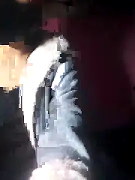 beba1100 online show from 11-30-25, 04:11