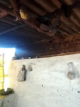 Babita Gori online show from 03-02-26, 05:52