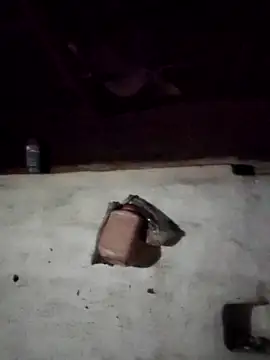 Babita Gori online show from 04-14-26, 11:33