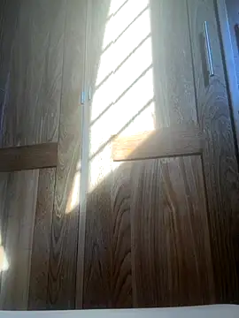 Snapshot of HuggingRegulus chatting on 11-24-25, 07:46 HuggingRegulus online show from 11-24-25, 07:46