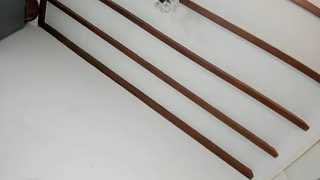 IsaSantoDomingo online show from 01-16-26, 10:58