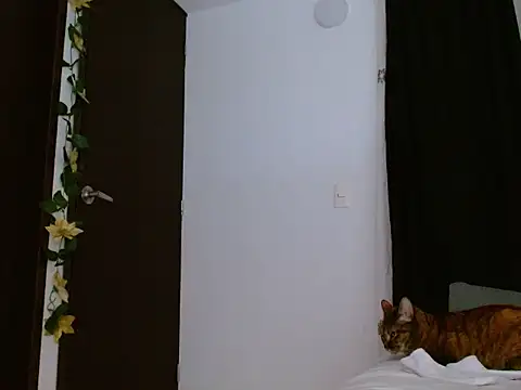 seductrixee online show from 01-12-26, 12:16