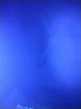 qaarlyfogosa online show from 02-11-26, 10:31