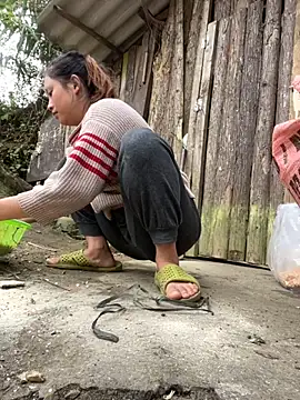 Thaoem online show from 12-04-25, 05:28