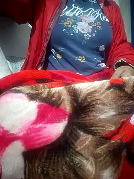 SassyDiy online show from 01-13-26, 11:59